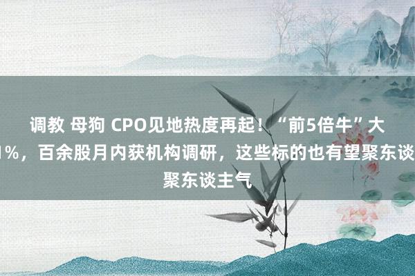 调教 母狗 CPO见地热度再起！“前5倍牛”大涨11%，百余股月内获机构调研，这些标的也有望聚东谈主气