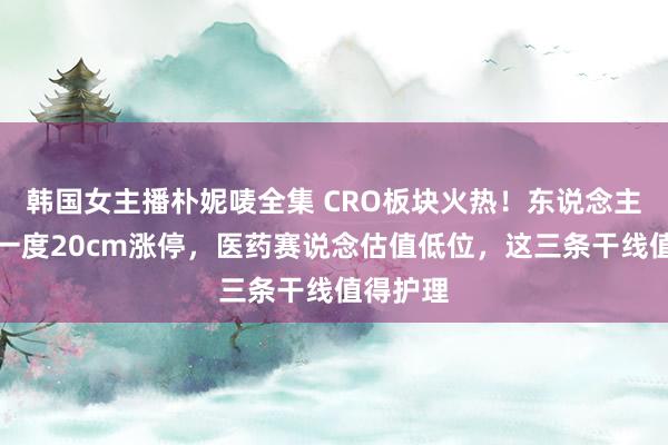 韩国女主播朴妮唛全集 CRO板块火热！东说念主气龙头一度20cm涨停，医药赛说念估值低位，这三条干线值得护理