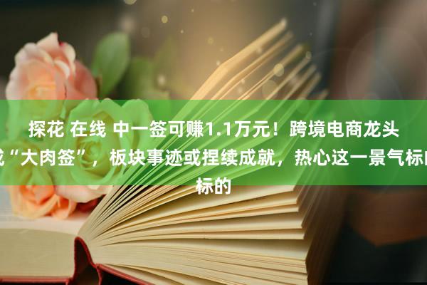 探花 在线 中一签可赚1.1万元！跨境电商龙头成“大肉签”，板块事迹或捏续成就，热心这一景气标的