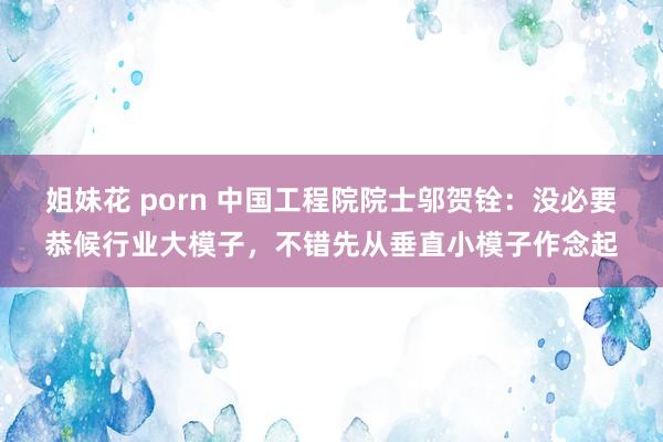 姐妹花 porn 中国工程院院士邬贺铨：没必要恭候行业大模子，不错先从垂直小模子作念起