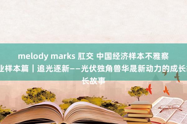 melody marks 肛交 中国经济样本不雅察·企业样本篇｜追光逐新——光伏独角兽华晟新动力的成长故事