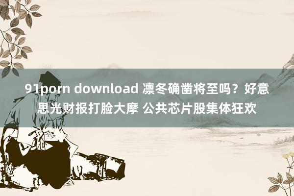 91porn download 凛冬确凿将至吗？好意思光财报打脸大摩 公共芯片股集体狂欢