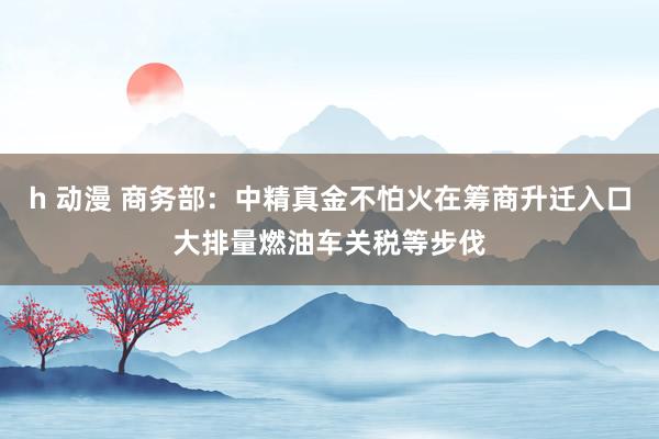 h 动漫 商务部：中精真金不怕火在筹商升迁入口大排量燃油车关税等步伐