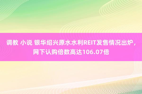 调教 小说 银华绍兴原水水利REIT发售情况出炉，网下认购倍数高达106.07倍