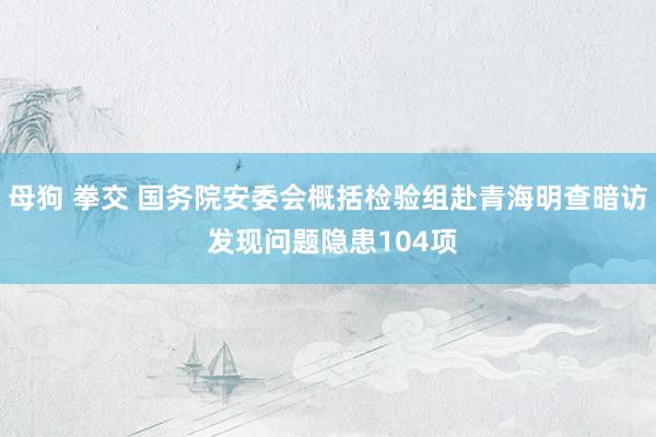 母狗 拳交 国务院安委会概括检验组赴青海明查暗访 发现问题隐患104项