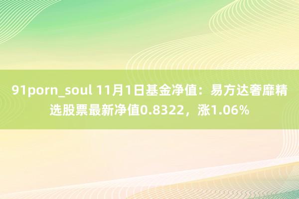 91porn_soul 11月1日基金净值：易方达奢靡精选股票最新净值0.8322，涨1.06%