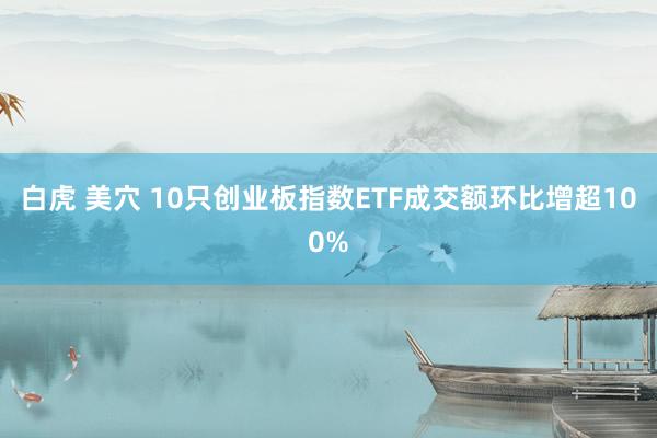 白虎 美穴 10只创业板指数ETF成交额环比增超100%