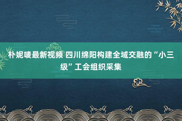 朴妮唛最新视频 四川绵阳构建全域交融的“小三级”工会组织采集