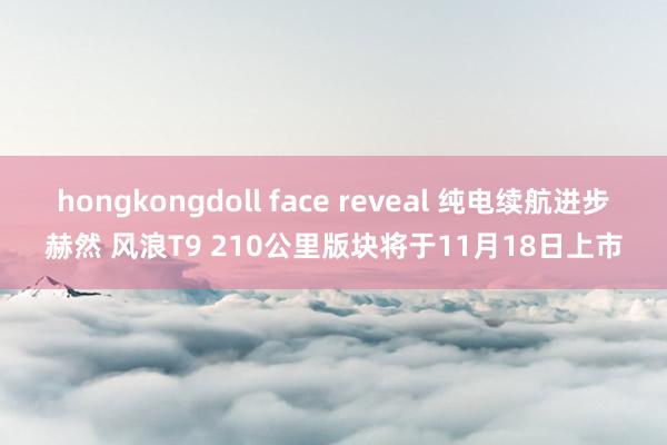 hongkongdoll face reveal 纯电续航进步赫然 风浪T9 210公里版块将于11月18日上市