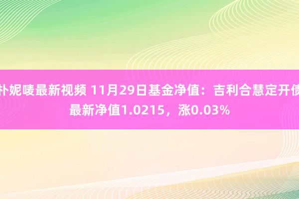 朴妮唛最新视频 11月29日基金净值：吉利合慧定开债最新净值1.0215，涨0.03%