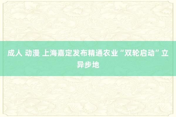 成人 动漫 上海嘉定发布精通农业“双轮启动”立异步地