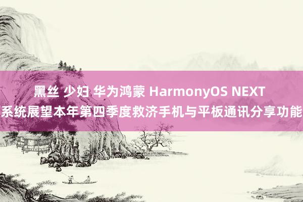 黑丝 少妇 华为鸿蒙 HarmonyOS NEXT 系统展望本年第四季度救济手机与平板通讯分享功能