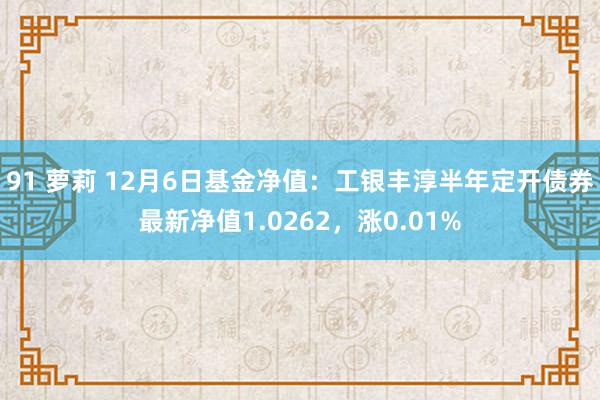 91 萝莉 12月6日基金净值：工银丰淳半年定开债券最新净值1.0262，涨0.01%