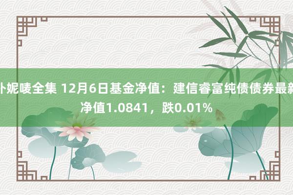 朴妮唛全集 12月6日基金净值：建信睿富纯债债券最新净值1.0841，跌0.01%