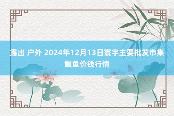 露出 户外 2024年12月13日寰宇主要批发市集鲅鱼价钱行情