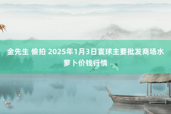 金先生 偷拍 2025年1月3日寰球主要批发商场水萝卜价钱行情