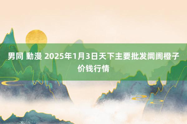 男同 動漫 2025年1月3日天下主要批发阛阓橙子价钱行情