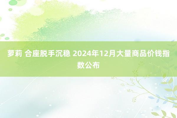 萝莉 合座脱手沉稳 2024年12月大量商品价钱指数公布