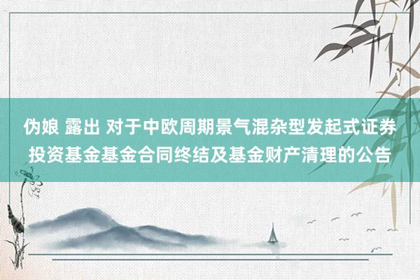 伪娘 露出 对于中欧周期景气混杂型发起式证券投资基金基金合同终结及基金财产清理的公告