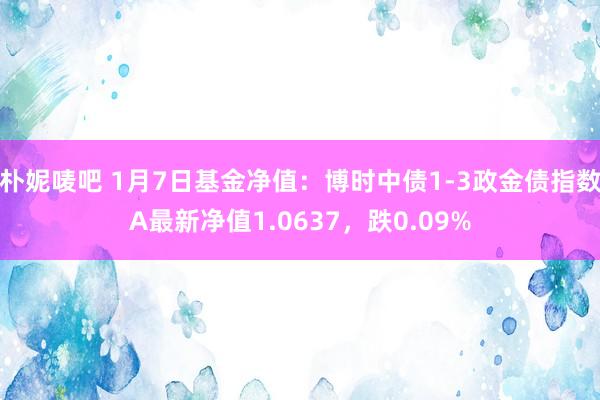 朴妮唛吧 1月7日基金净值：博时中债1-3政金债指数A最新净值1.0637，跌0.09%