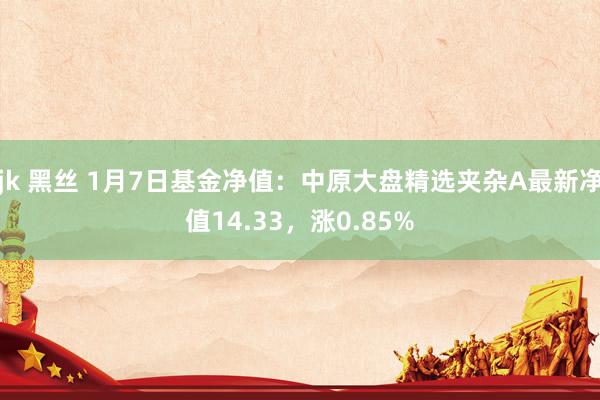 jk 黑丝 1月7日基金净值：中原大盘精选夹杂A最新净值14.33，涨0.85%