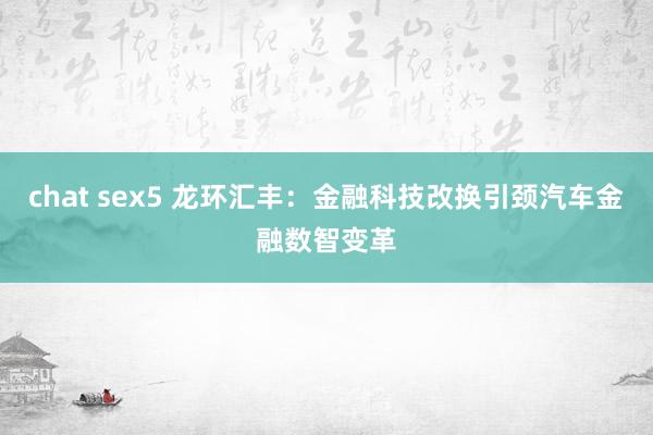 chat sex5 龙环汇丰：金融科技改换引颈汽车金融数智变革