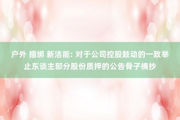 户外 捆绑 新洁能: 对于公司控股鼓动的一致举止东谈主部分股份质押的公告骨子摘抄