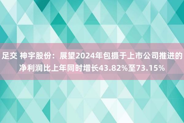 足交 神宇股份：展望2024年包摄于上市公司推进的净利润比上年同时增长43.82%至73.15%