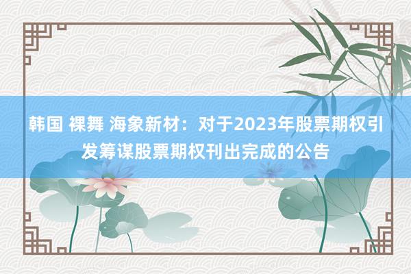 韩国 裸舞 海象新材：对于2023年股票期权引发筹谋股票期权刊出完成的公告