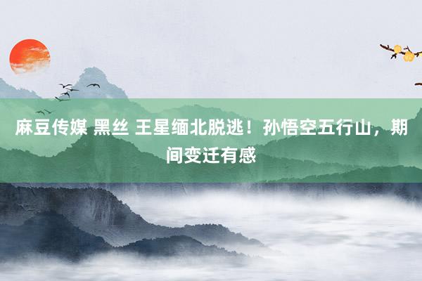 麻豆传媒 黑丝 王星缅北脱逃！孙悟空五行山，期间变迁有感