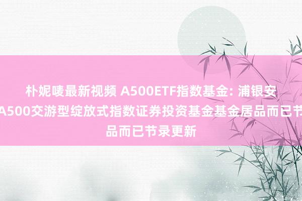 朴妮唛最新视频 A500ETF指数基金: 浦银安盛中证A500交游型绽放式指数证券投资基金基金居品而已节录更新