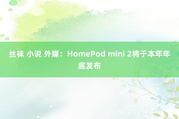 丝袜 小说 外媒：HomePod mini 2将于本年年底发布