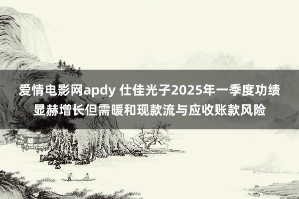 爱情电影网apdy 仕佳光子2025年一季度功绩显赫增长但需暖和现款流与应收账款风险