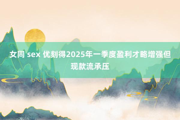 女同 sex 优刻得2025年一季度盈利才略增强但现款流承压